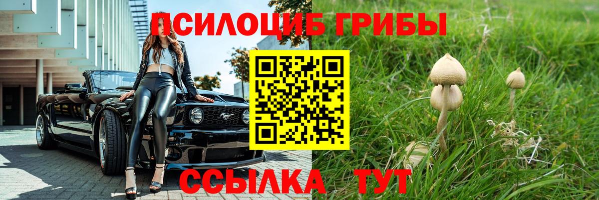 Галлюциногенные грибы Psilocybe  наркота  Волгоград  Вход с VPN  Псилоцибиновые грибы ЛСД 